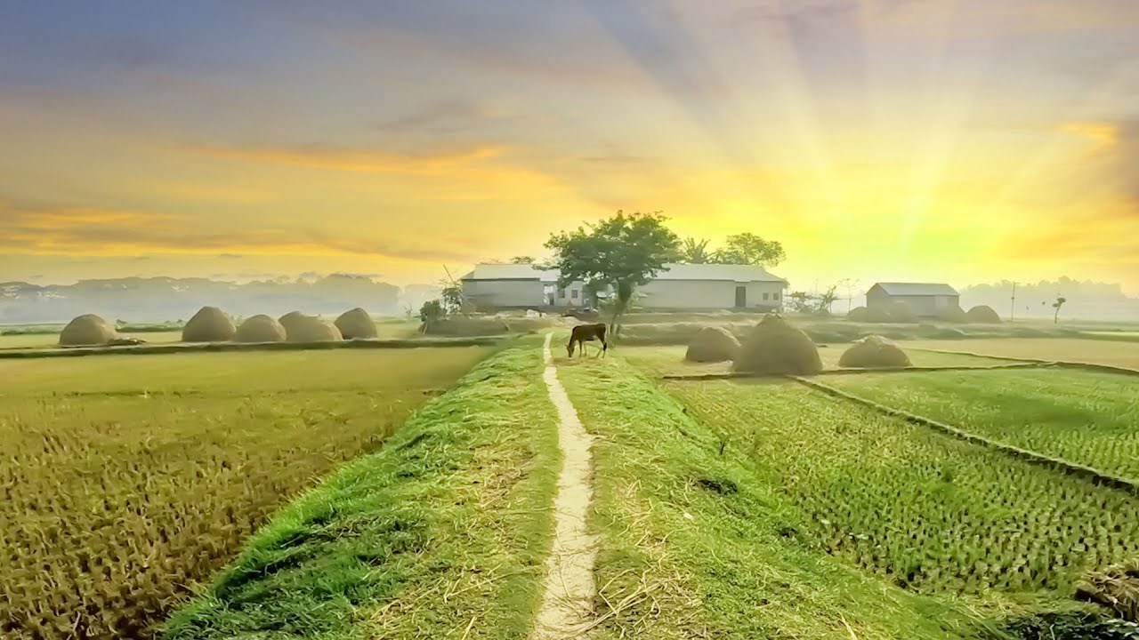 বাংলাদেশের হারিয়ে যাওয়া গ্রাম: একটি অজানা পৃথিবী