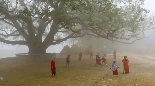 জানুয়ারিতে এক থেকে দুটি তীব্র শৈত্যপ্রবাহের আভাস জানুয়ারি মাসে দেশে এক থেকে দুটি মাঝারি থেকে তীব্র শৈত্যপ্রবাহ বয়ে যাওয়ার আভাস দিয়েছে আবহাওয়া অধিদপ্তর। বুধবার আবহাওয়ার দীর্ঘমেয়াদি পূর্বাভাসে বলা হয়েছে, দেশের পশ্চিম, উত্তর ও উত্তরপূর্বাঞ্চলে এক থেকে দুটি মাঝারি থেকে তীব্র এবং দেশের অন্যান্য এলাকায় দুই থেকে তিনটি মৃদু থেকে মাঝারি মাত্রার শৈত্যপ্রবাহ বয়ে যেতে পারে। দিন ও রাতের তাপমাত্রা স্বাভাবিকের চেয়ে বেশি থাকলেও দিন ও রাতের তাপমাত্রার পার্থক্য কম থাকার কারণে এ সময়ে শীতের অনুভূতি বাড়তে পারে। বড় এলাকাজুড়ে সর্বনিম্ন তাপমাত্রা ৬ ডিগ্রি সেলসিয়াসের নিচে নেমে গেলে তাকে তীব্র শৈত্যপ্রবাহ ধরা হয়; ৬ থেকে ৮ ডিগ্রির মধ্যে থাকলে মাঝারি এবং ৮ থেকে ১০ ডিগ্রি সেলসিয়াসের মধ্যে থাকলে তাকে মৃদু শৈত্যপ্রবাহ বলা হয়। জানুয়ারি মাসের পূর্বাভাসে বলা হয়েছে, দেশের উত্তর, উত্তর-পূর্বাঞ্চল, পশ্চিম, দক্ষিণ-পশ্চিমাঞ্চল ও মধ্যাঞ্চলে এবং নদী অববাহিকায় মাঝারি বা ঘন কুয়াশা এবং অন্যান্য এলাকায় হালকা বা মাঝারি কুয়াশা থাকতে পারে। ঘন কুয়াশা কোথাও কোথাও দুপুর পর্যন্ত অব্যাহত থাকতে পারে। ঘন কুয়াশার কারণে বিমান চলাচল, অভ্যন্তরীণ নৌ পরিবহন এবং সড়ক যোগাযোগ সাময়িকভাবে ব্যাহত হতে পারে বলে সতর্ক করেছে আবহাওয়া অফিস। এ মাসে দেশে স্বাভাবিকের চেয়ে কম বৃষ্টিপাতের আভাস দিয়ে পূর্বাভাসে বলা হয়েছে, দেশের প্রধান নদ-নদীর প্রবাহ স্বাভাবিক থাকতে পারে। আবহাওয়া অফিস বলছে, জানুয়ারি মাসে বঙ্গোপসাগরে এক থেকে দুটি লঘুচাপ তৈরি হতে পারে, এর মধ্যে একটি নিম্নচাপে পরিণত হতে পারে। ডিসেম্বর মাসেও বঙ্গোপসাগরে দুটি লঘুচাপ তৈরি হয়েছিল। এর মধ্যে একটি নিম্নচাপে পরিণত হয়। এর প্রভাবে উপকূলে বৃষ্টি ঝরেছিল।