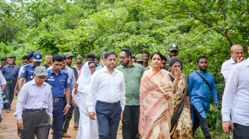 হাতি-মানুষ দ্বন্দ্ব নিরসনে ধৈর্য ধরার আহ্বান উপদেষ্টা রিজওয়ানা হাসানের