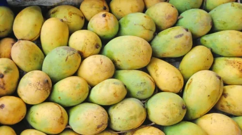প্রতিদিন একটি আম খাওয়ার উপকারিতা