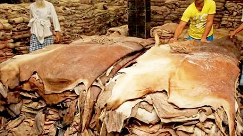 কোরবানির ঈদ সামনে রেখে প্রস্তুতি জোরদার, ১২ ঘণ্টায় বর্জ্য অপসারণের নির্দেশ