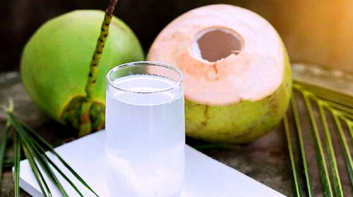 প্রচণ্ড গরমে প্রতিদিন খান ডাবের পানি, মিলবে ১২টি উপকার