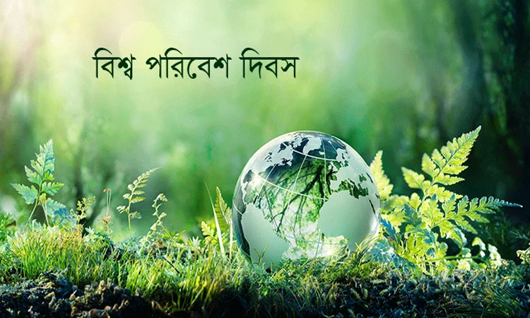 বিশ্ব পরিবেশ দিবসে গুরুত্ব পাচ্ছে প্লাস্টিক দূষণ রোধ